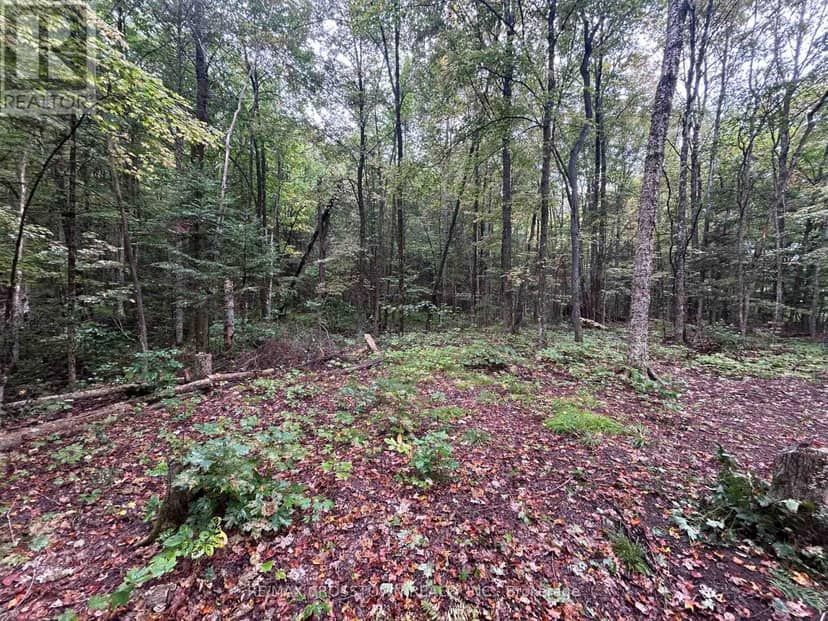 0 Queens Line Road, Minden Hills, photo 6