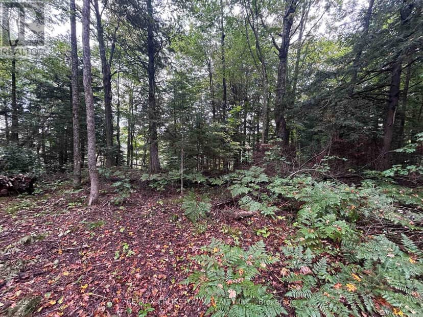 0 Queens Line Road, Minden Hills, photo 7