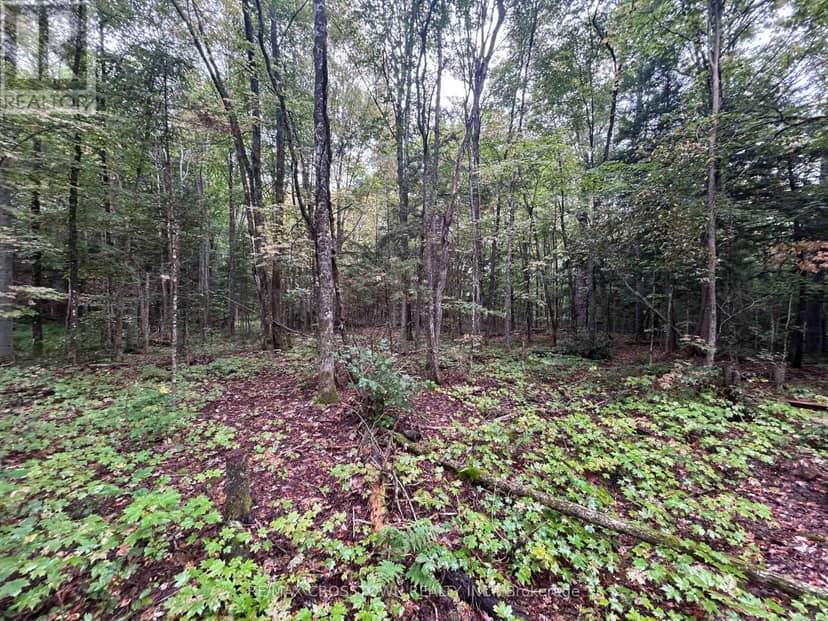 0 Queens Line Road, Minden Hills, photo 8