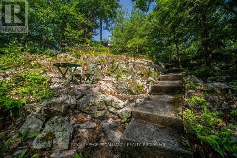 811 Hermit Thrush Lane — photo 33 of 40