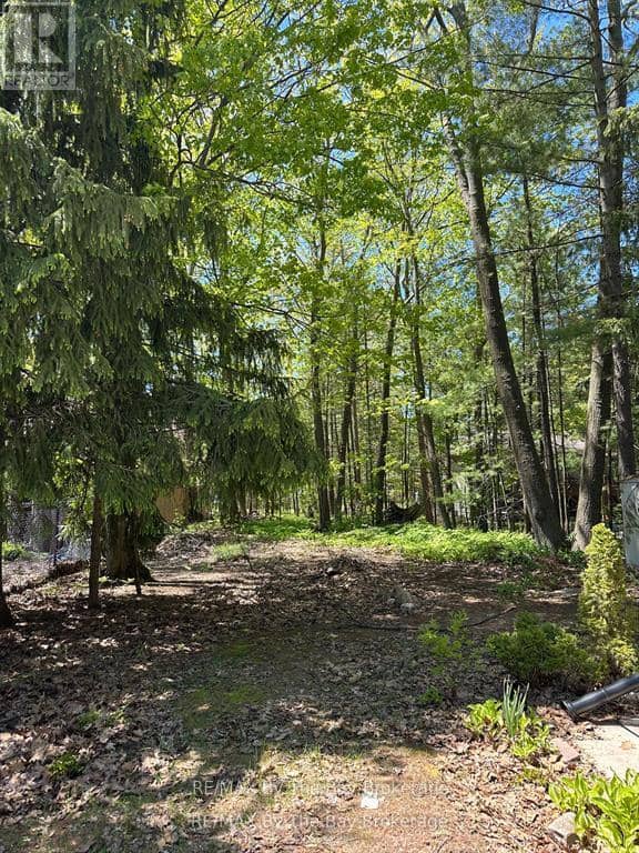 134 Sunnidale Road, Wasaga Beach, photo 5