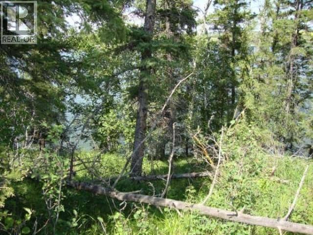 Lot 12 Blk 1 LAKESIDE Drive, Perch Lake, photo 4