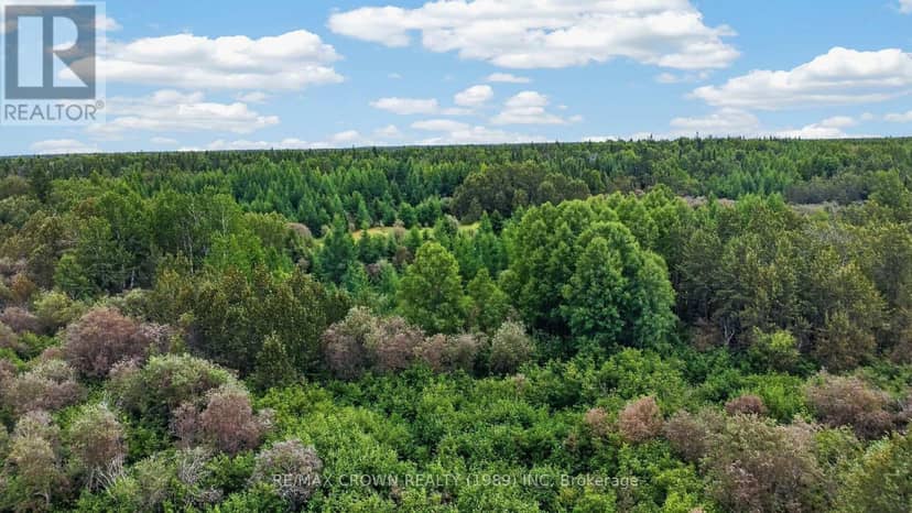 Lot 1 Conc 10 Concession — photo 1 of 20