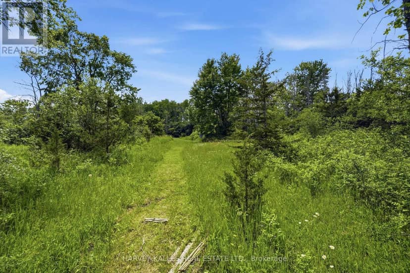 685 County 8 Road — photo 12 of 15