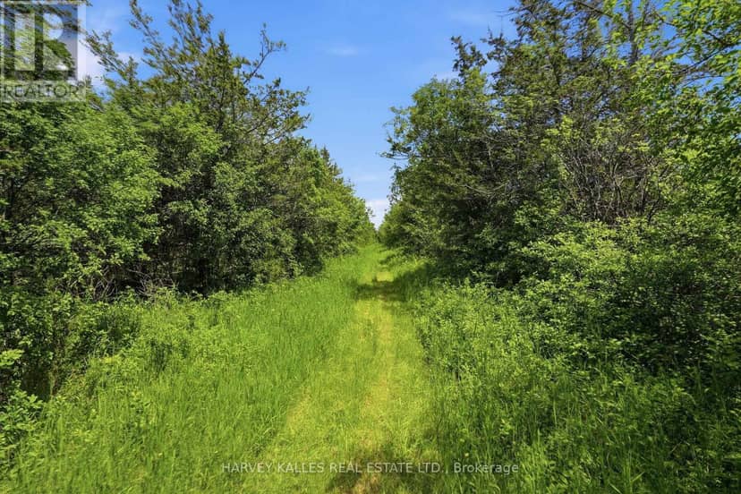 685 County 8 Road — photo 8 of 15