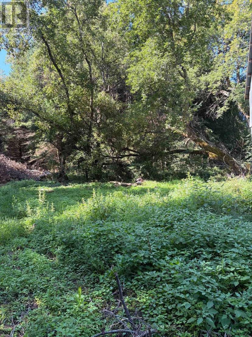 523 Lower Oak Leaf Road — photo 11 of 22