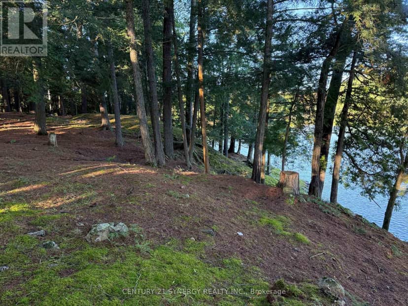 218 Lee Trail Lane, Tay Valley, photo 3