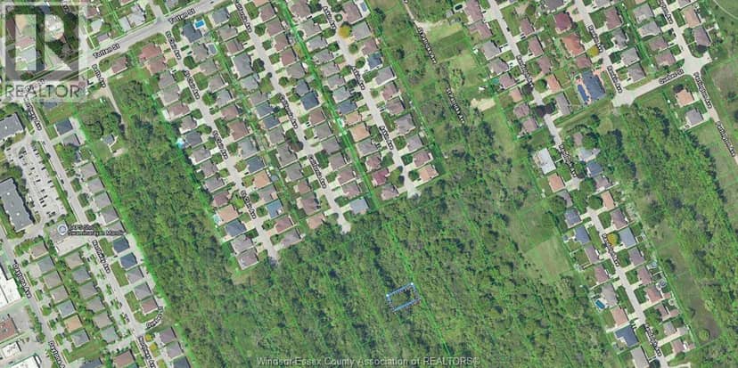 V/L California, Windsor
