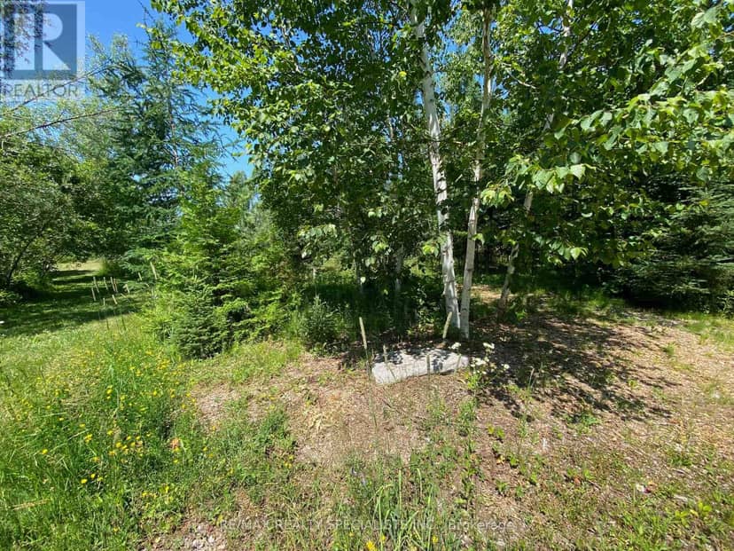 LT12 & 13 Otter Road, Kawartha Lakes, photo 4