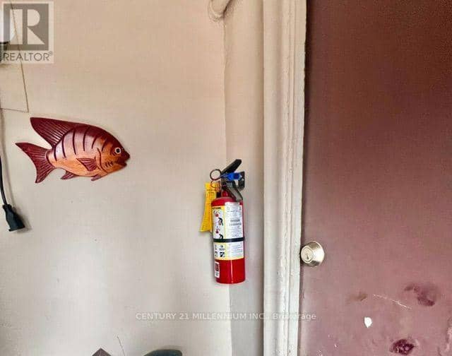 38 Miller Street — photo 22 of 23