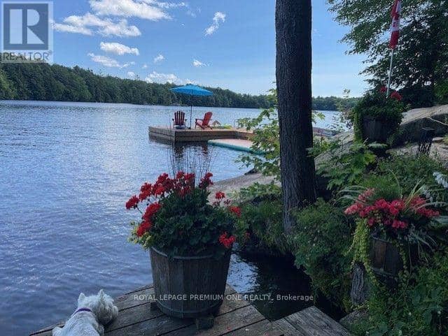 219 Crane Lake Water, The Archipelago, photo 8
