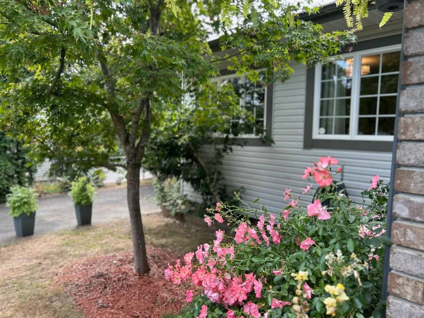 7597 WREN STREET, Mission, photo 5