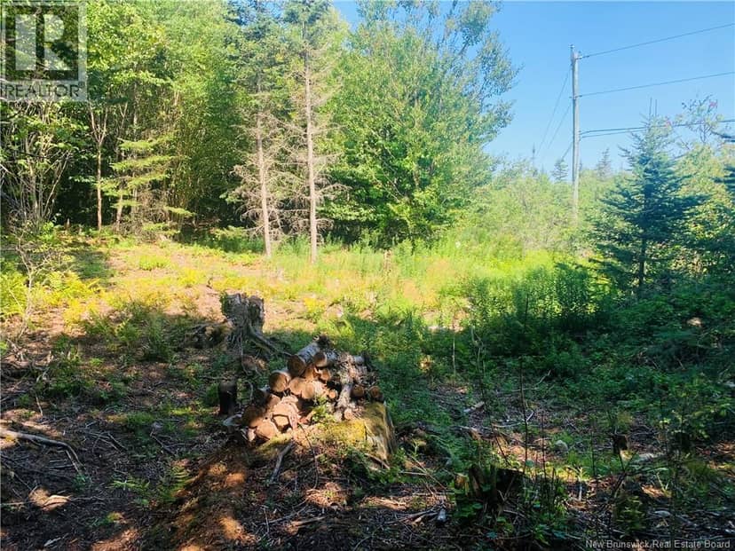 86-106 Fundy Drive, Wilsons Beach, photo 5