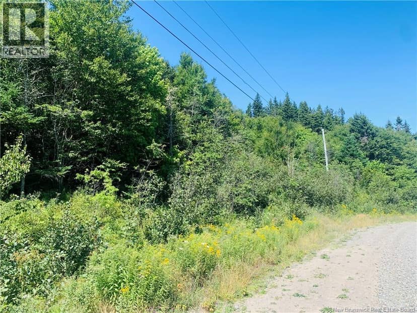 86-106 Fundy Drive, Wilsons Beach, photo 4