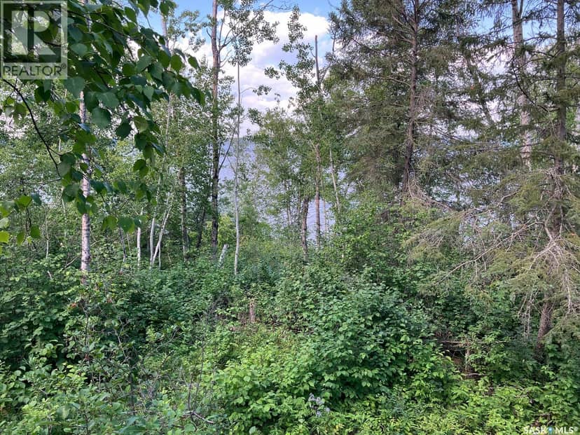 1 Birch Place at Gingara subdivision (Tobin lake) — photo 11 of 40