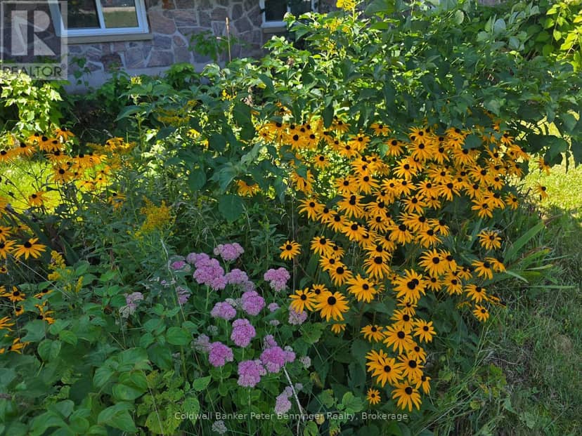 5371 Bruce Road 3 Road — photo 25 of 29