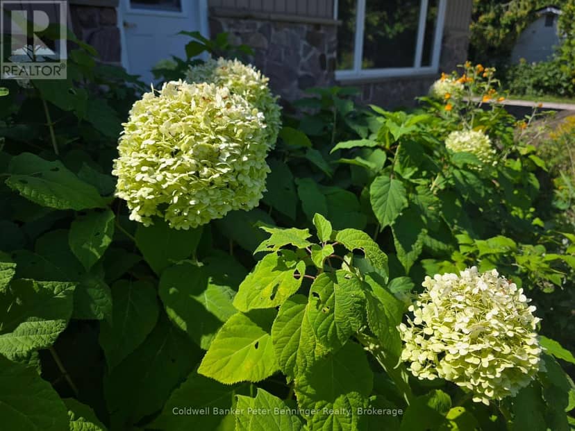 5371 Bruce Road 3 Road — photo 26 of 29