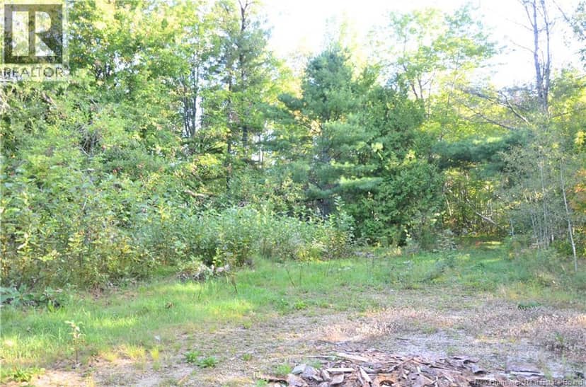 137 Harvey Road — photo 28 of 29