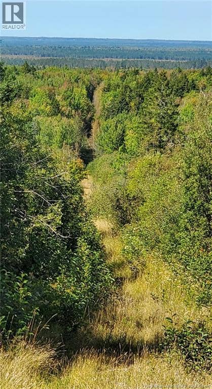 Lots Indian Mountain Road — photo 2 of 4