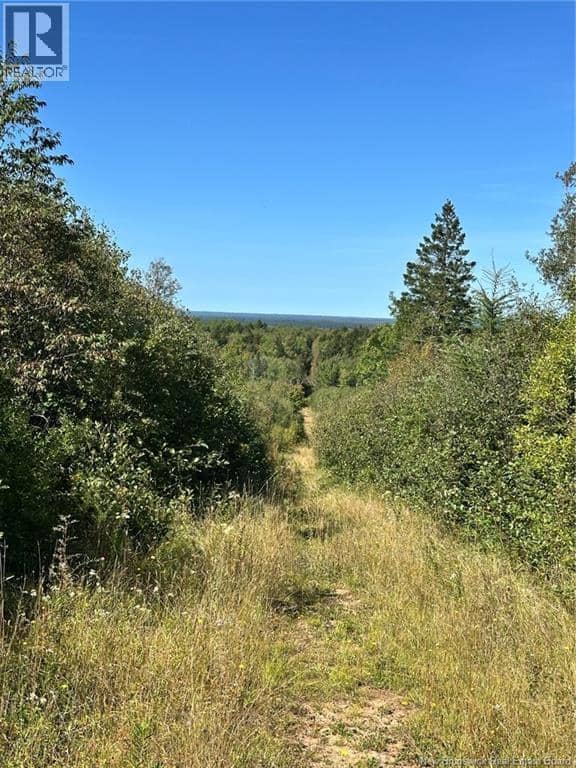 Lots Indian Mountain Road — photo 3 of 4