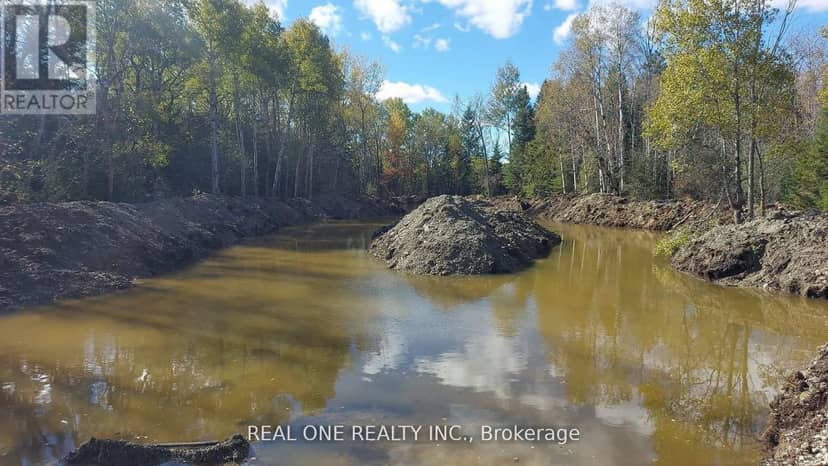 408 Portage Road, Kawartha Lakes, photo 6