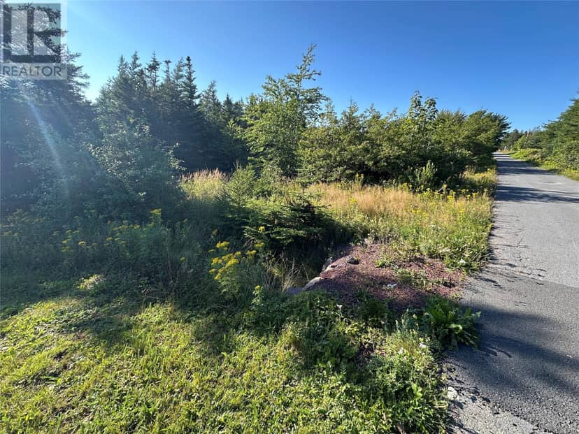 12-14 Old Track Road, Hearts Desire, photo 3