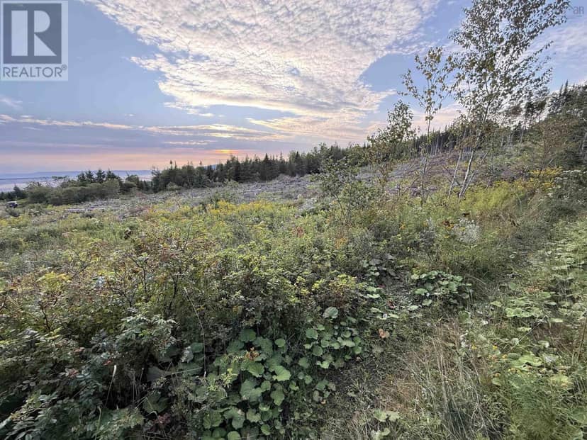 Lot 18-3 RIVER PHILLIP Road, Economy, photo 2