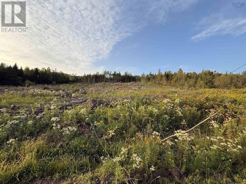 Lot 18-2 RIVER PHILLIP Road — photo 9 of 9