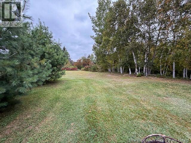 403 Route 390, Rowena, photo 8