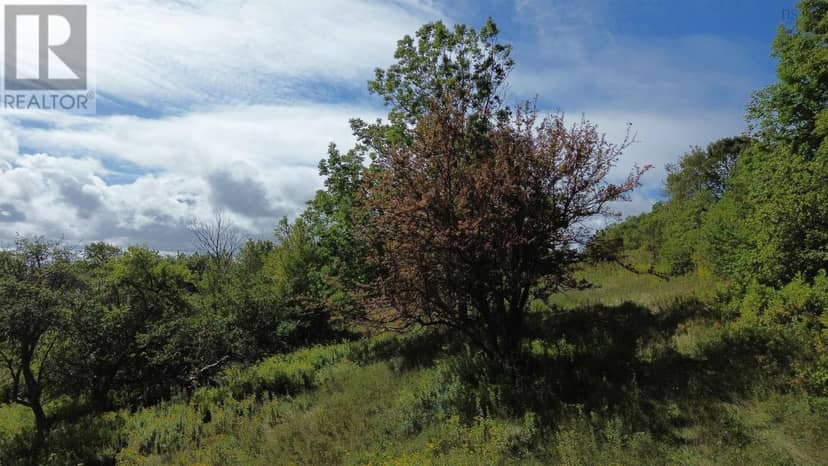 1307 Highway 19 — photo 17 of 23
