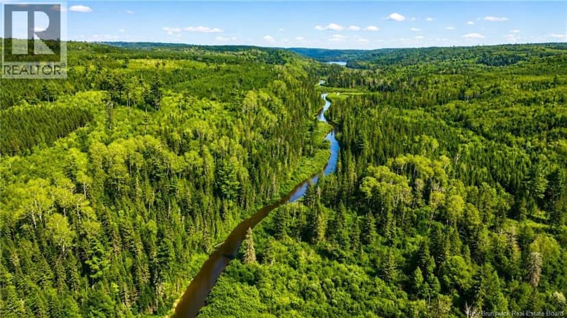 LOT & CAMP Forest Motor Road, Sormany, photo 3