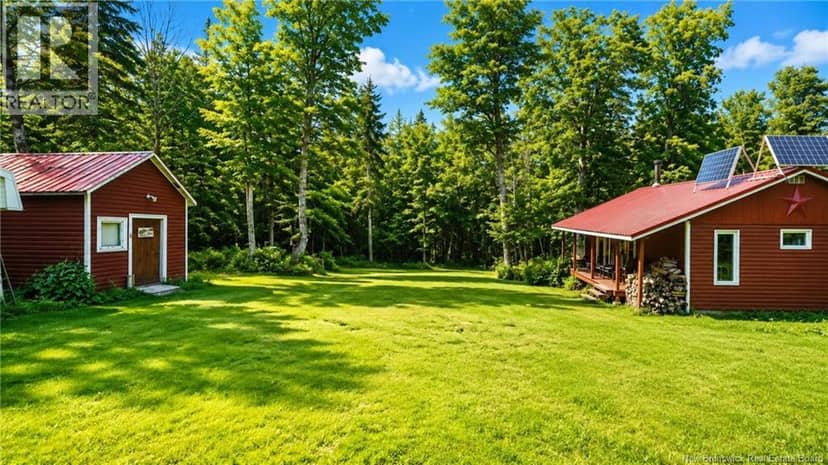 LOT & CAMP Forest Motor Road — photo 26 of 40