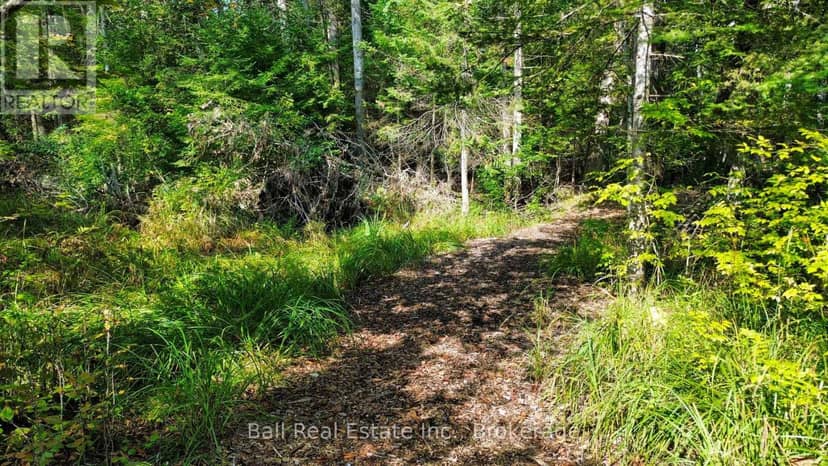 85 Fire Route 19C Route — photo 12 of 21