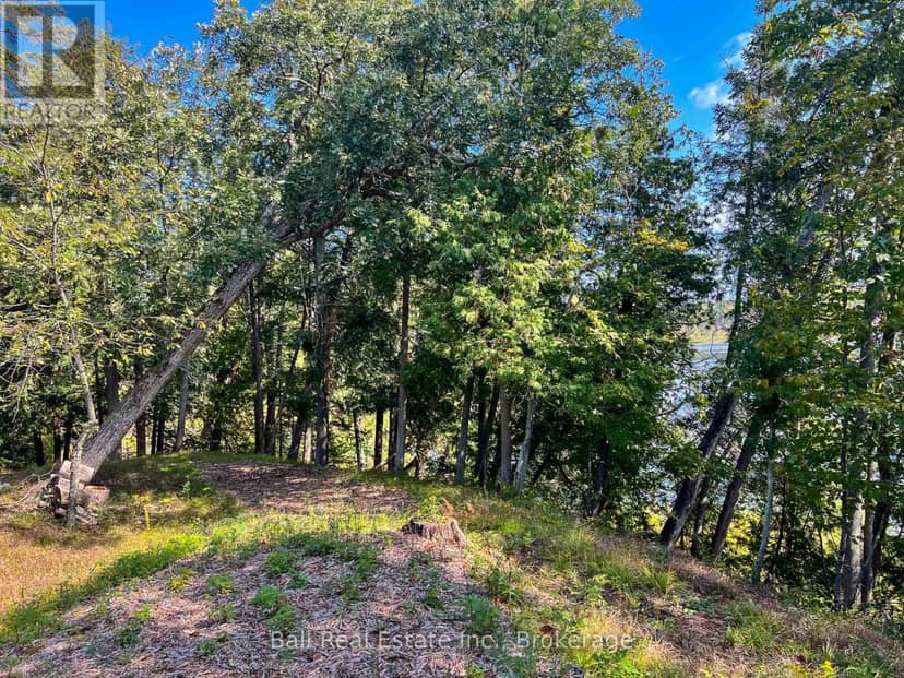 85 Fire Route 19C Route — photo 16 of 21