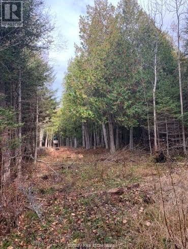 20751 Highway 6 — photo 10 of 12
