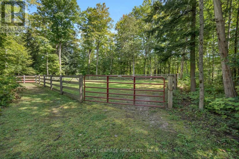 116 Mill Pond Side Road — photo 39 of 40