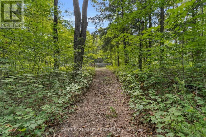 116 Mill Pond Side Road — photo 40 of 40
