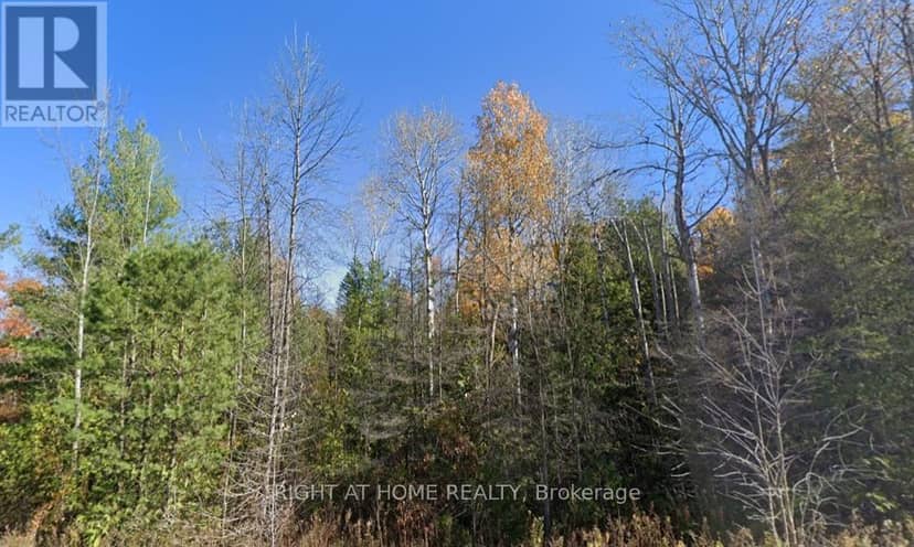 93 McCleary Road — photo 2 of 4
