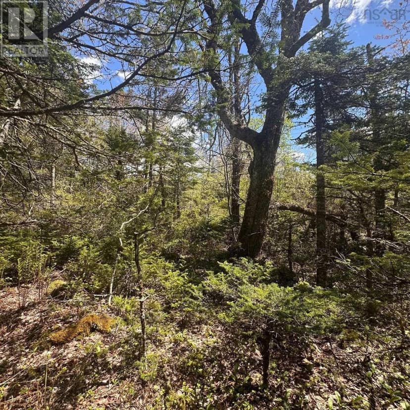 Lot 16 Somerset Drive, East Sable River, photo 2