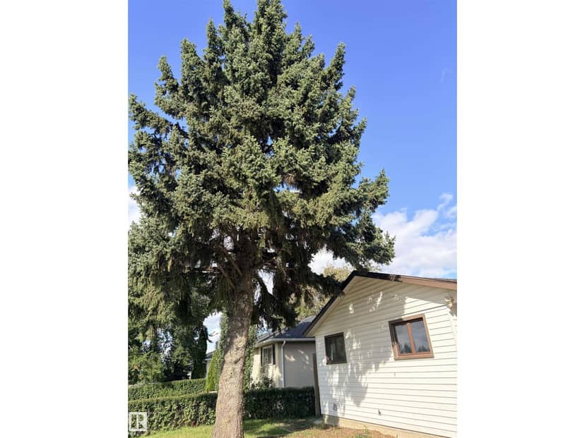 13219 107 ST NW, Edmonton, photo 4