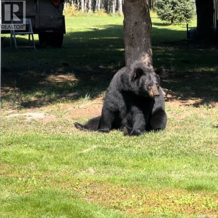 Wildlife Acres — photo 4 of 30