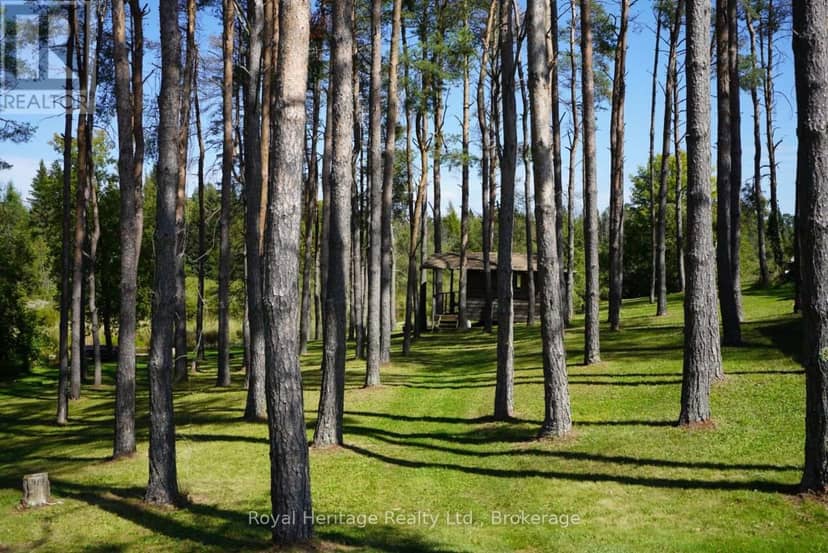 215 Fifth Line Dummer South Road — photo 40 of 40