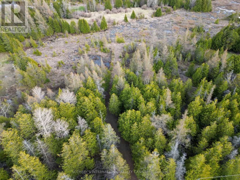 Lot 17 Forbes Road, Northern Bruce Peninsula, photo 4