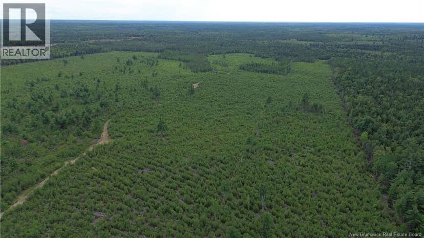 10035 Route 11 — photo 23 of 37