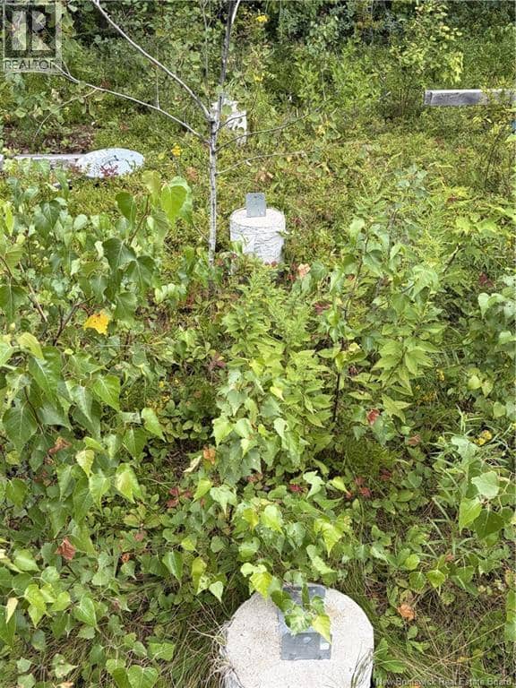 10035 Route 11, Redmondville, photo 8