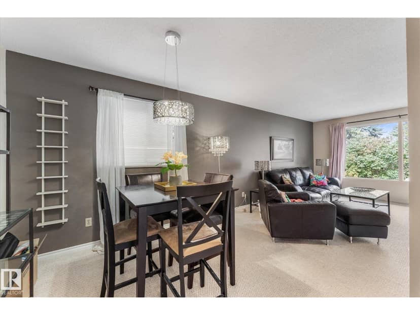 16807 98 Avenue NW NW, Edmonton, photo 7