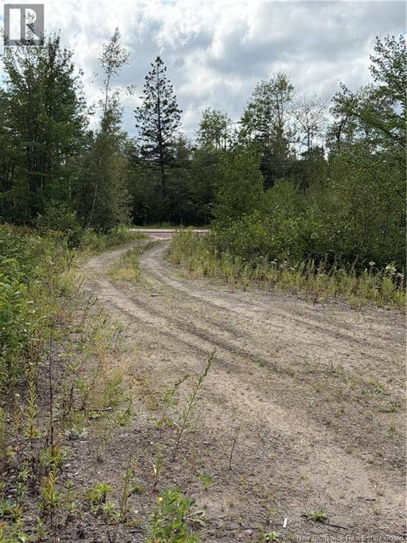 4319 Route 134, Cocagne, photo 4