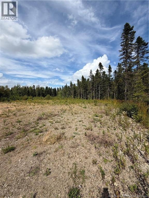 4319 Route 134, Cocagne, photo 8