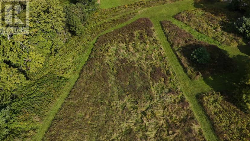 Lot 22-1 Harold Whynot Road — photo 9 of 20