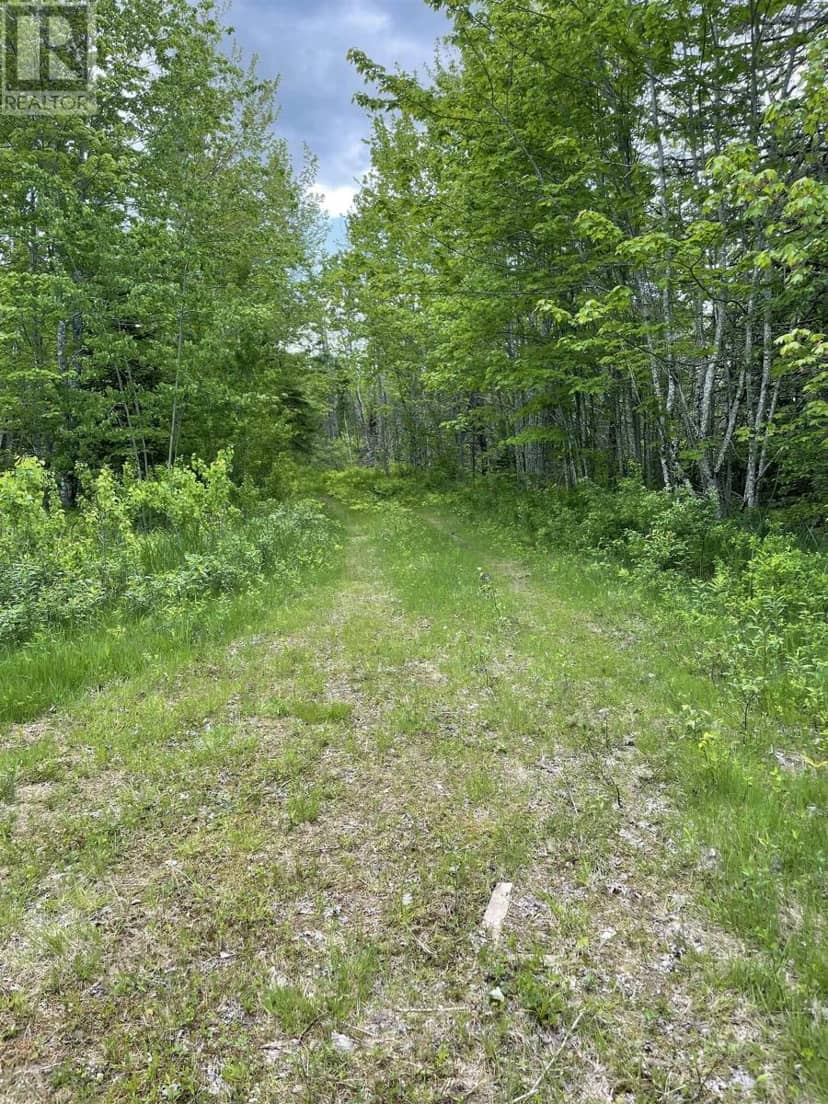 1849 Wallace Grant Road — photo 7 of 8